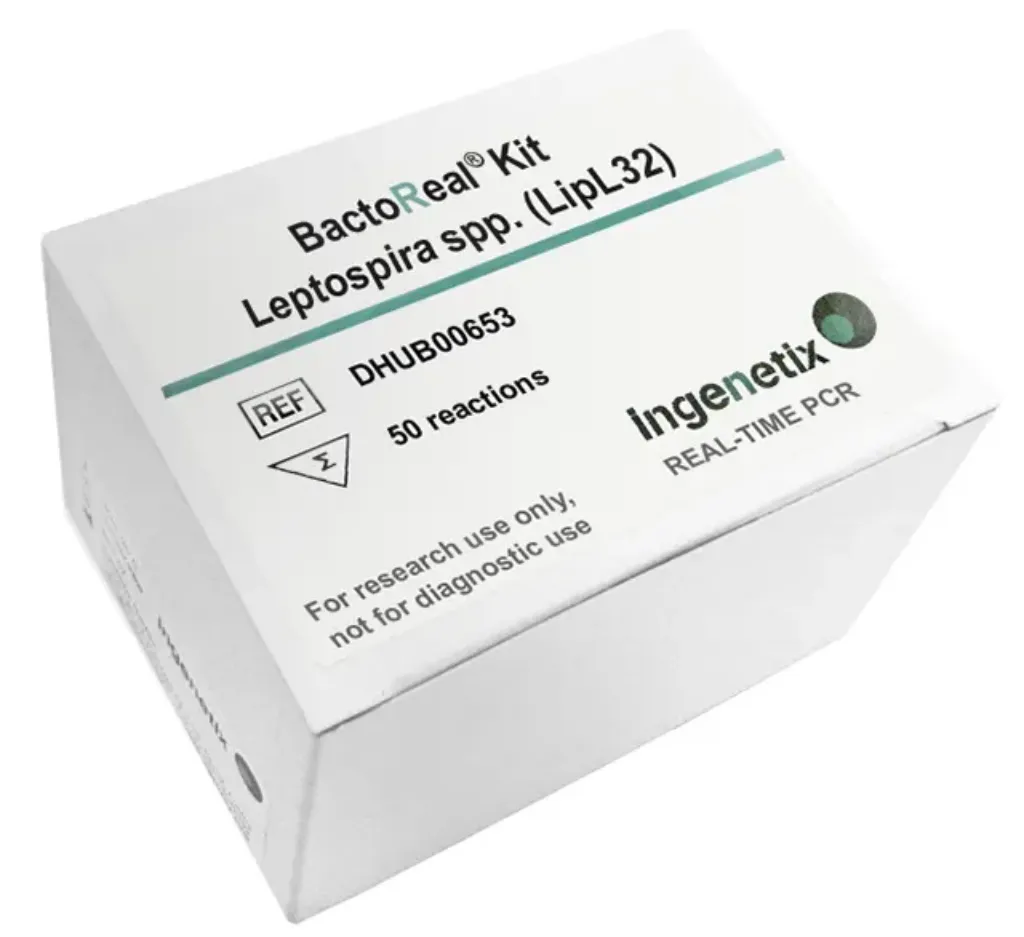Picture of BactoReal® Kit Leptospira spp. (LipL32) Human