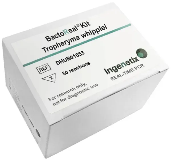 Imagem de BactoReal® Kit Tropheryma whipplei