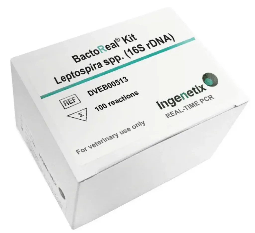 Picture of BactoReal® Kit Leptospira spp. (16S rDNA) VET