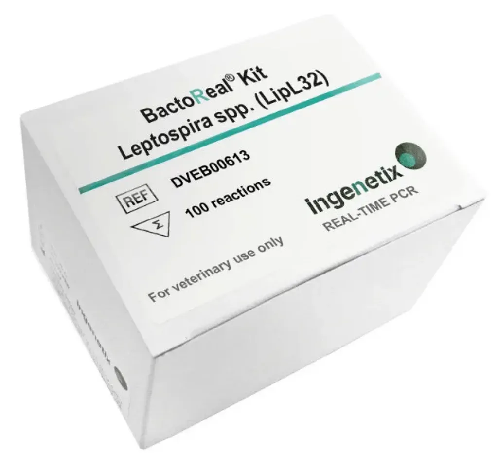 Picture of BactoReal® Kit Leptospira spp. (LipL32) VET