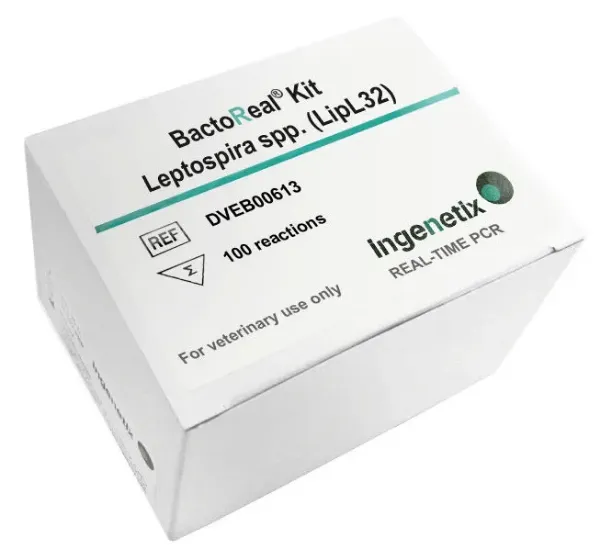 Picture of BactoReal® Kit Leptospira spp. (LipL32) VET