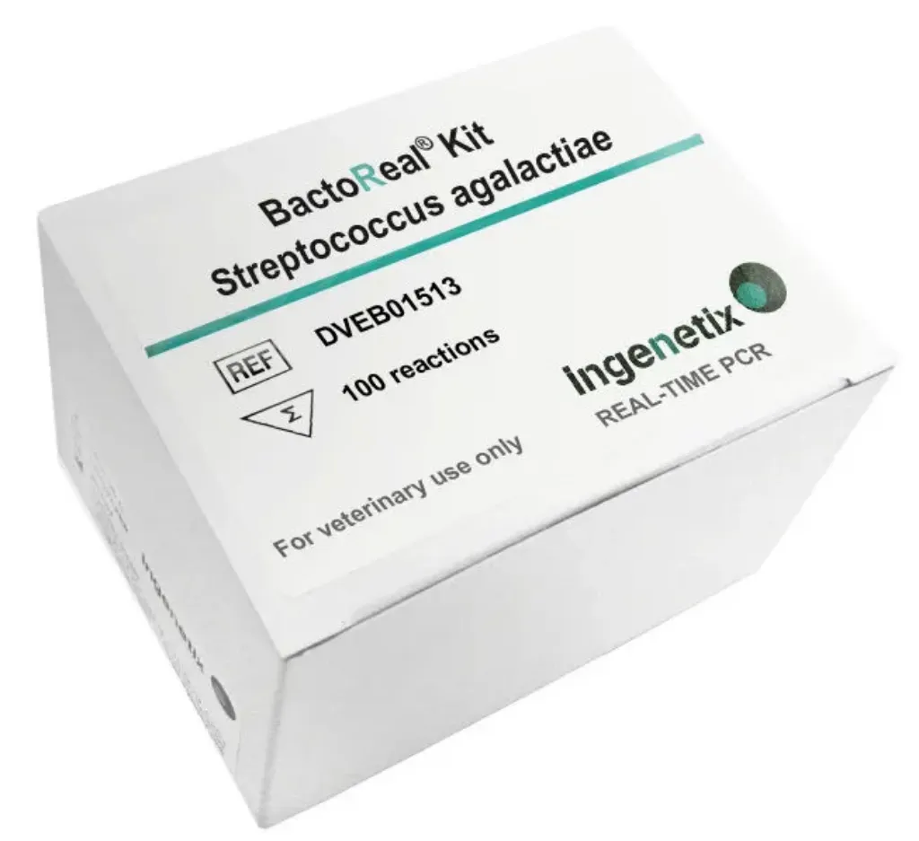 Picture of BactoReal® Kit Streptococcus agalactiae VET