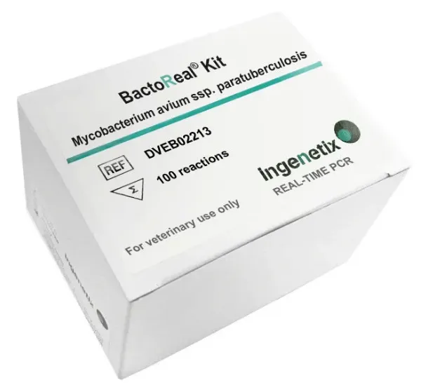 Picture of BactoReal® Kit Mycobacterium avium ssp. paratuberculosis