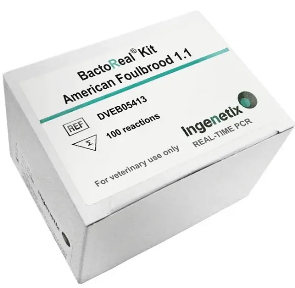 Imagem de BactoReal® American Foulbrood 1.1 - Paenibacillus larvae