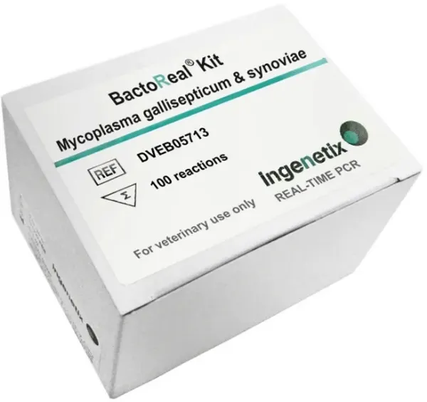 Imagem de BactoReal® Mycoplasma gallisepticum & synoviae