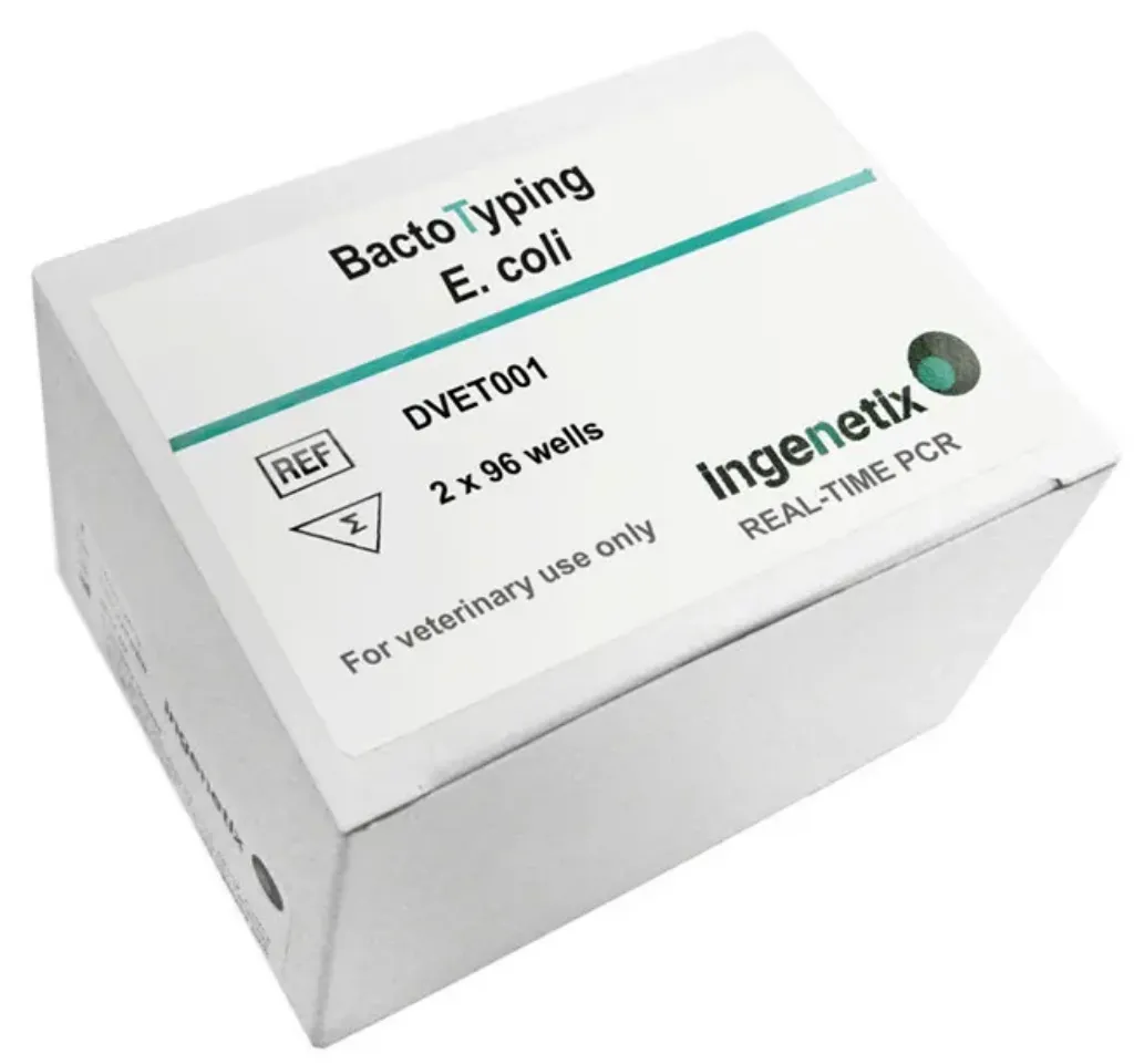 Picture of BactoTyping E. coli (24 typing)