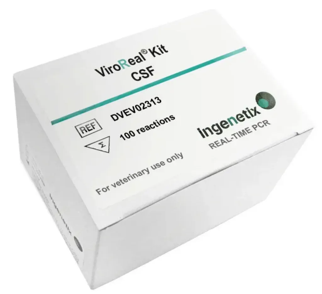 Imagem de ViroReal® Classical swine fewer (CSF) Virus