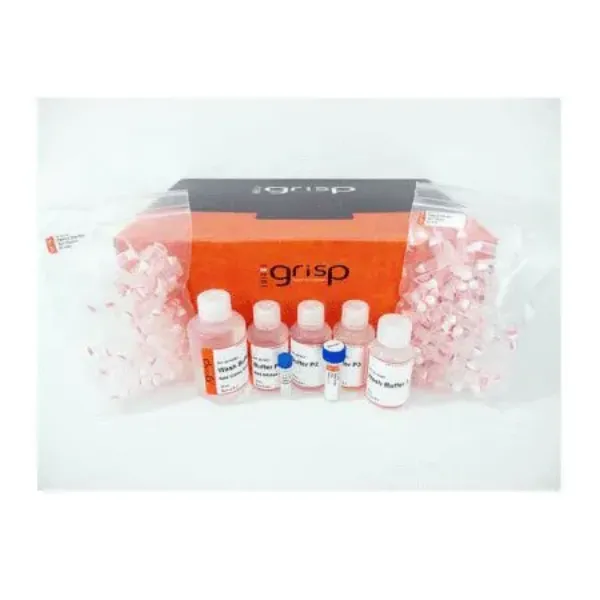 Imagem de GRS Kit Purificação Plasmídeo - MINI