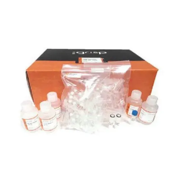 Picture of GRS Genomic DNA Kit - Card