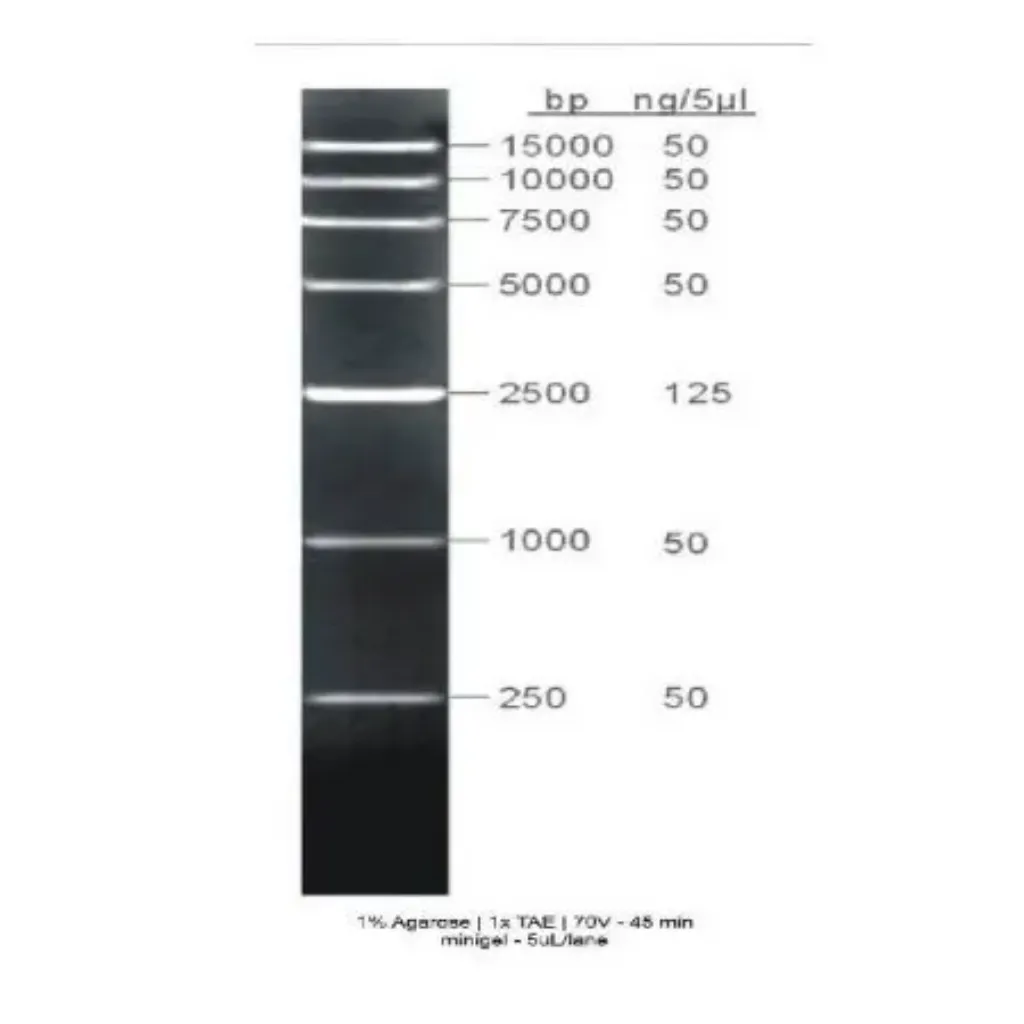 Picture of GRS High Range Ladder