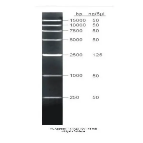 Imagem de GRS Marcador alto peso molecular