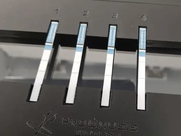 Picture of Symmetric Histamine