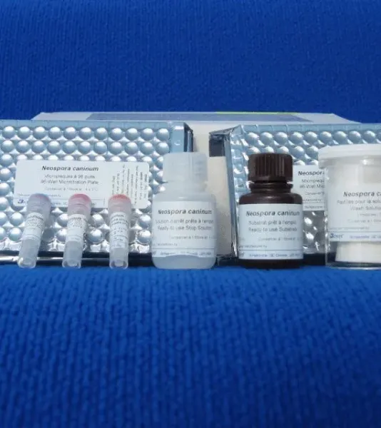 Imagem de TESTE ELISA Neospora Caninum (Bovino)