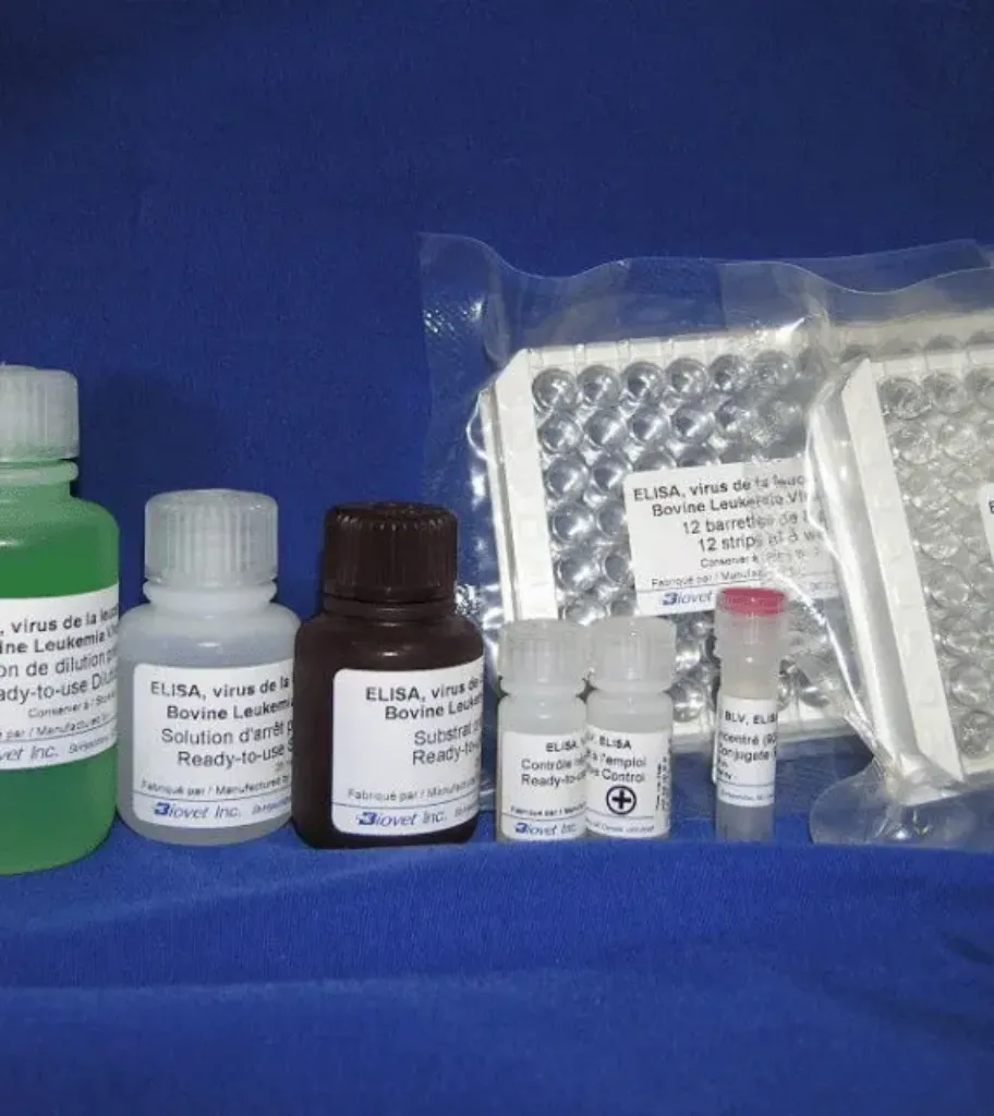 Picture of ELISA TEST Bovine Leukemia Virus