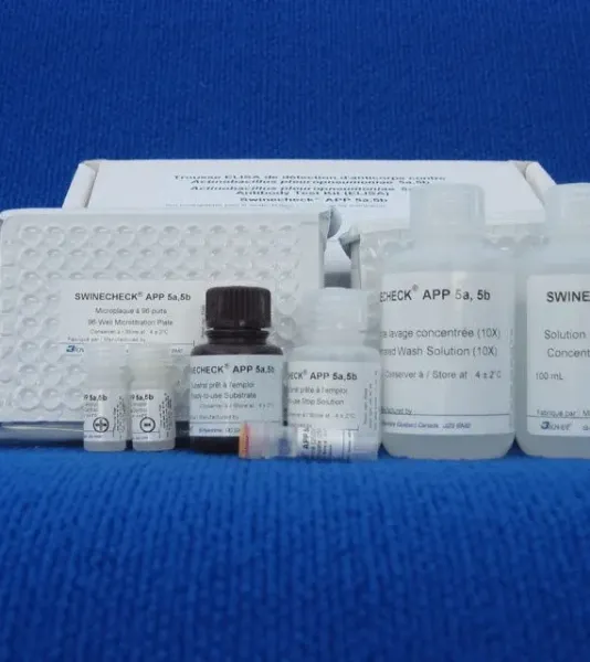 Imagem de TESTE ELISA Actinobacillus pleuropneumoniae sorotipos 5a 5b Swinecheck