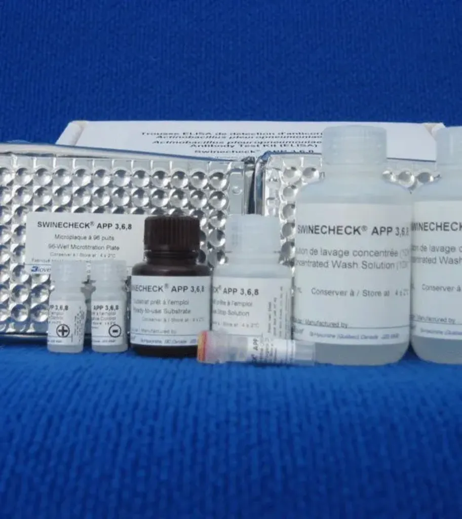 Imagem de TESTE ELISA Actinobacillus pleuropneumoniae sorotipos 3-6-8 Swinecheck