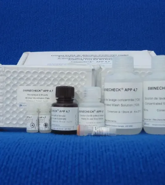 Imagem de TESTE ELISA Actinobacillus pleuropneumoniae sorotipos 4-7 Swinecheck