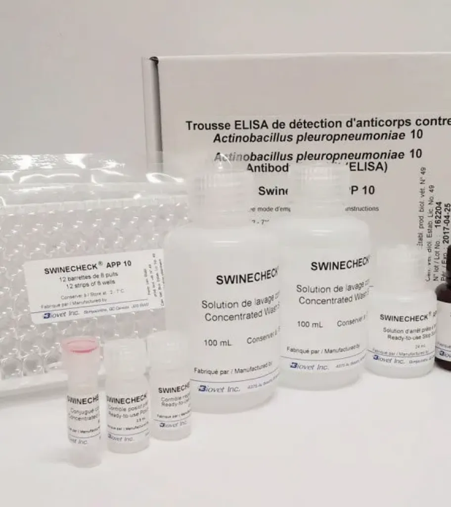 Picture of ELISA TEST Actinobacillus pleuropneumoniae serotype 10 Swinecheck APP