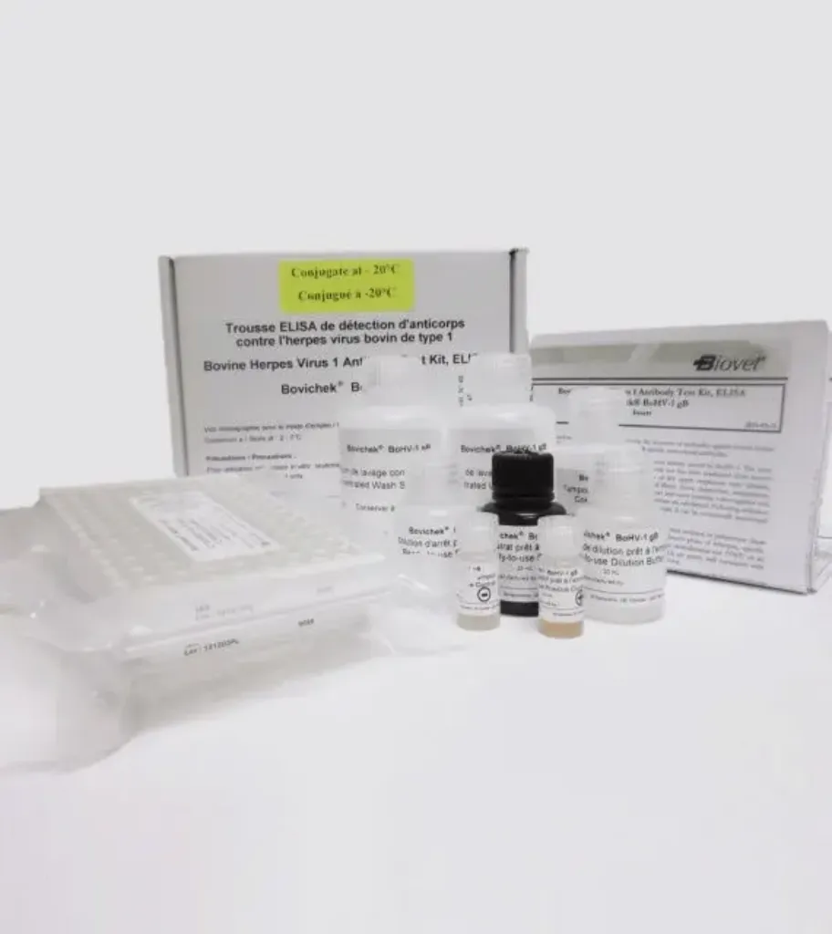 Picture of ELISA TEST Bovine Herpes Virus 1 - BoHV-1 gB (IBR)