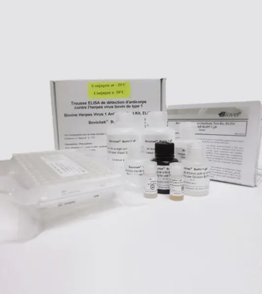 Picture of ELISA TEST Bovine Herpes Virus 1 - BoHV-1 gB (IBR)