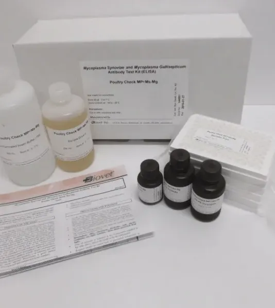 Imagem de Teste MFIA Mycoplasma Synoviae e Mycoplasma Gallisepticum