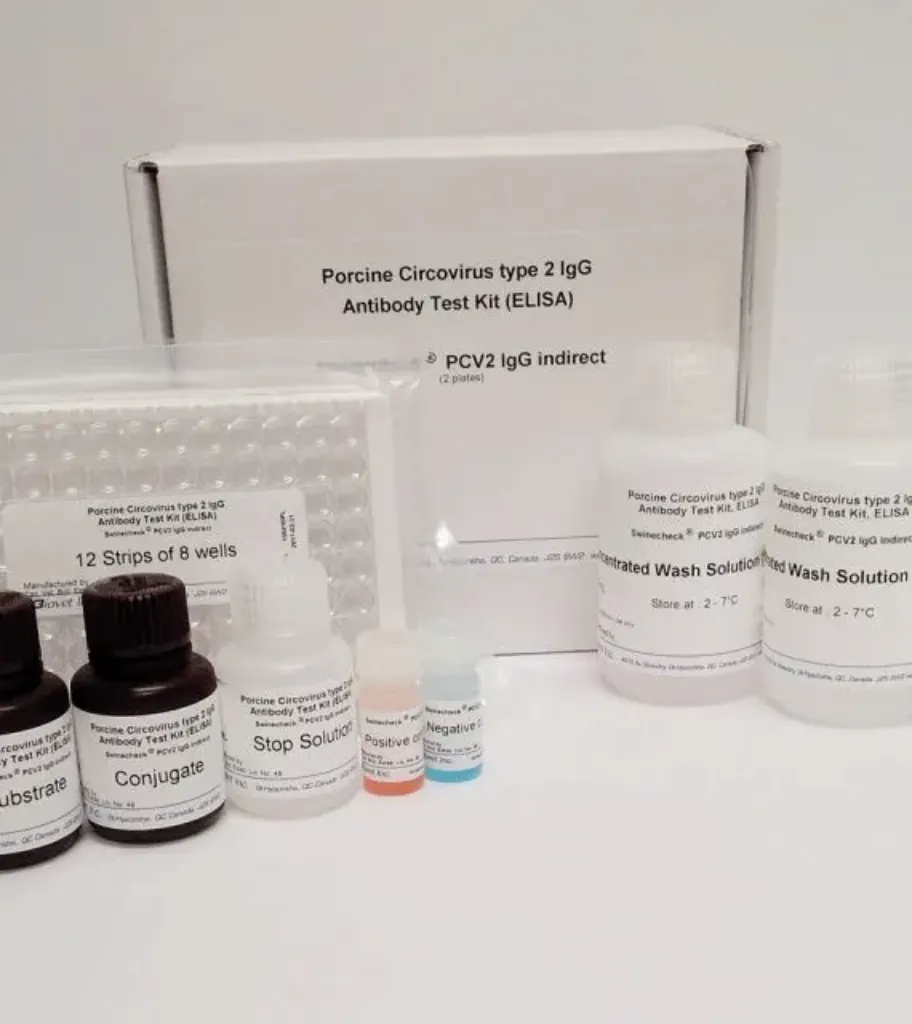 Picture of ELISA TEST Porcine circovirus type 2 (PCV2) Swinecheck