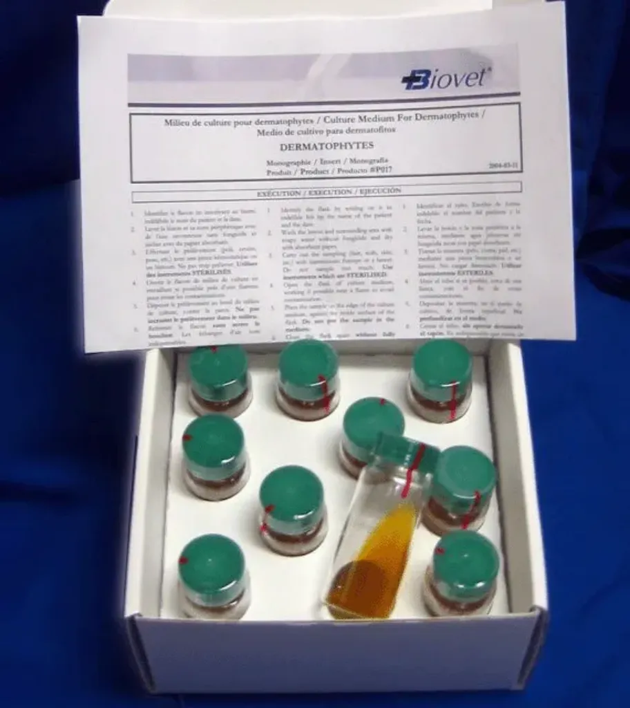 Picture of Kit dermatophytes