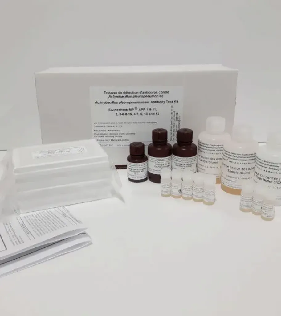 Imagem de Teste MFIA Actinobacillus pleuropneumoniae (1-9-11 2 3-6-8-15 4-7 5 10 & 12) Multiplex Swinecheck