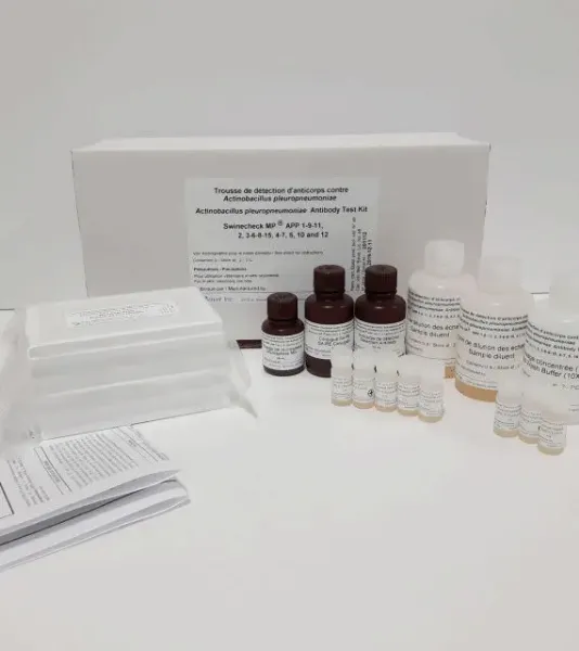 Picture of MFIA Test Actinobacillus pleuropneumoniae (1-9-11 2 3-6-8-15 4-7 5 10 & 12) Multiplex Swinecheck