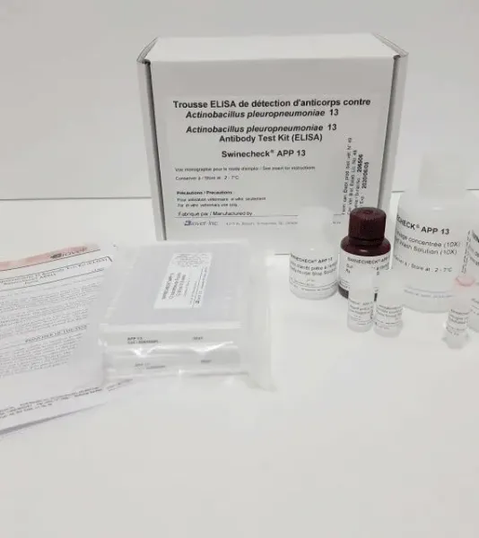 Picture of ELISA TEST Actinobacillus pleuropneumoniae (APP) serotype 13 Swinecheck