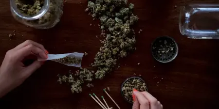 Hop latent viroid (HLVd), Lettuce Chlorosis Virus (LCV) and Cannabis Cryptic Virus (CanCV) in Cannabis