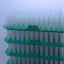 Picture of Pipette Tips PP 10 uL Long Low Retention Refill DNase/RNase Free