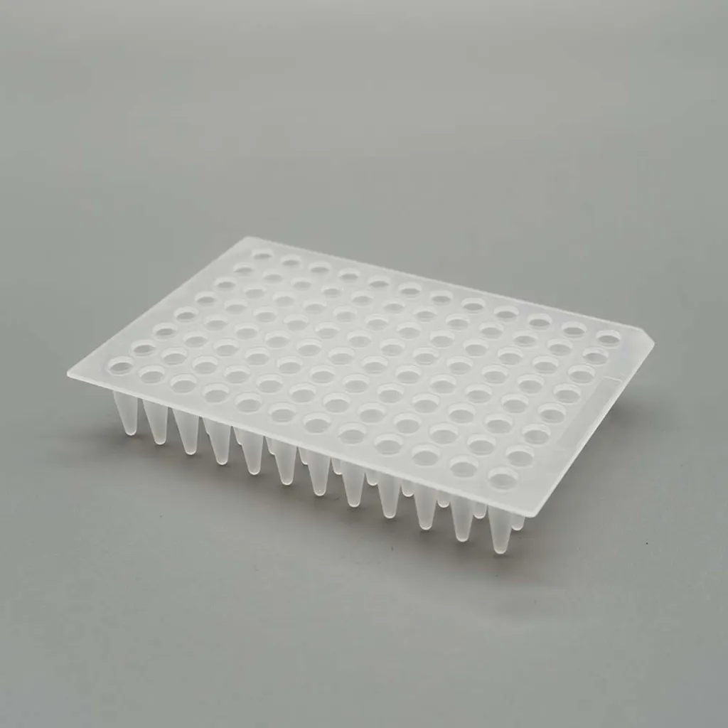 Imagem de Placas de PCR 96 Poços PP 0 2 mL Sem Rebordo Transparente/Esbranquiçado Sem DNase/RNase