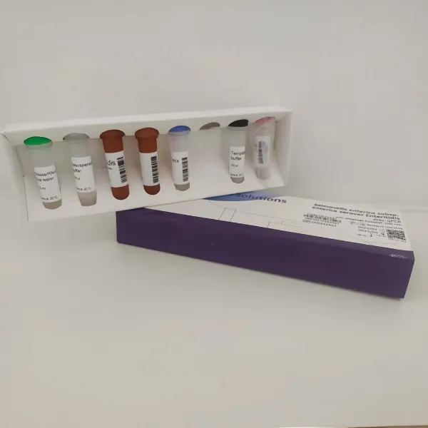 Imagem de Kit de Detecção de PCR em Tempo Real para Coronavírus Equino