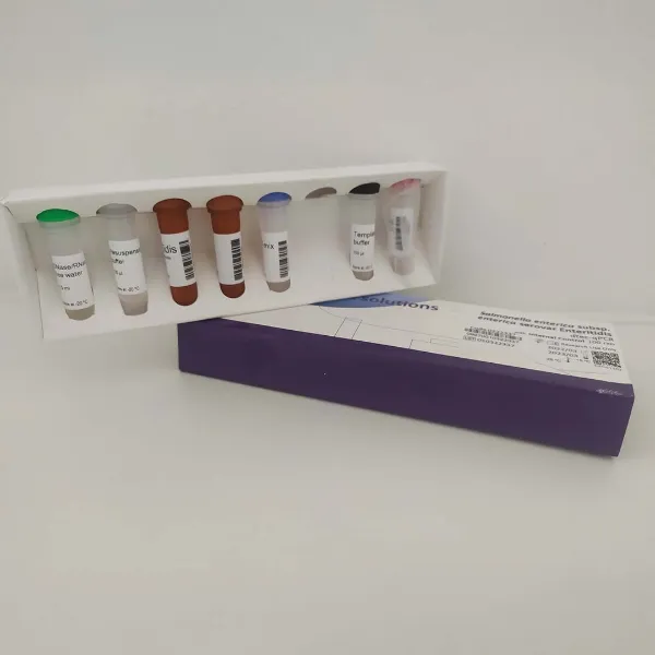 Picture of Real Time PCR Detection Kit Human respiratory syncytial virus A