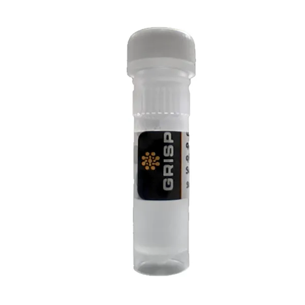 Imagem de qACE™ Fast Probe qRT-PCR 4X Supermix