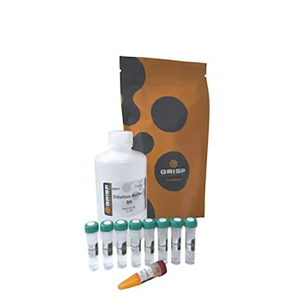 Picture of dsDNA Quantification Kit – Broad Range (for microplate reader)