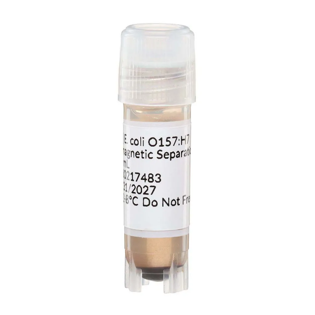 Picture of E. coli O157:H7 Immunomagnetic Separation Beads