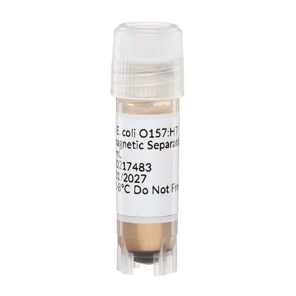 Picture of E. coli O157:H7 Immunomagnetic Separation Beads
